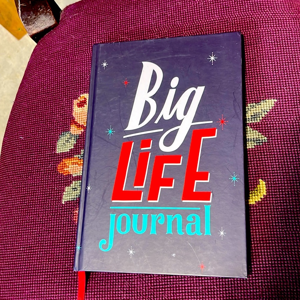 Big Life Journal